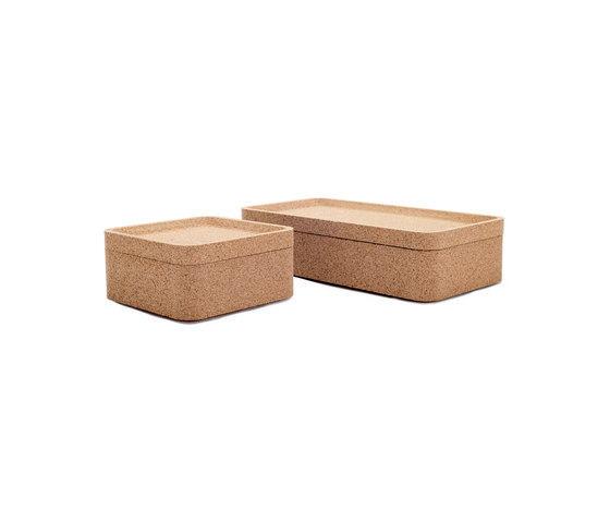 Trove Boxes | Rectangular Lid | Tabletts | Case Furniture