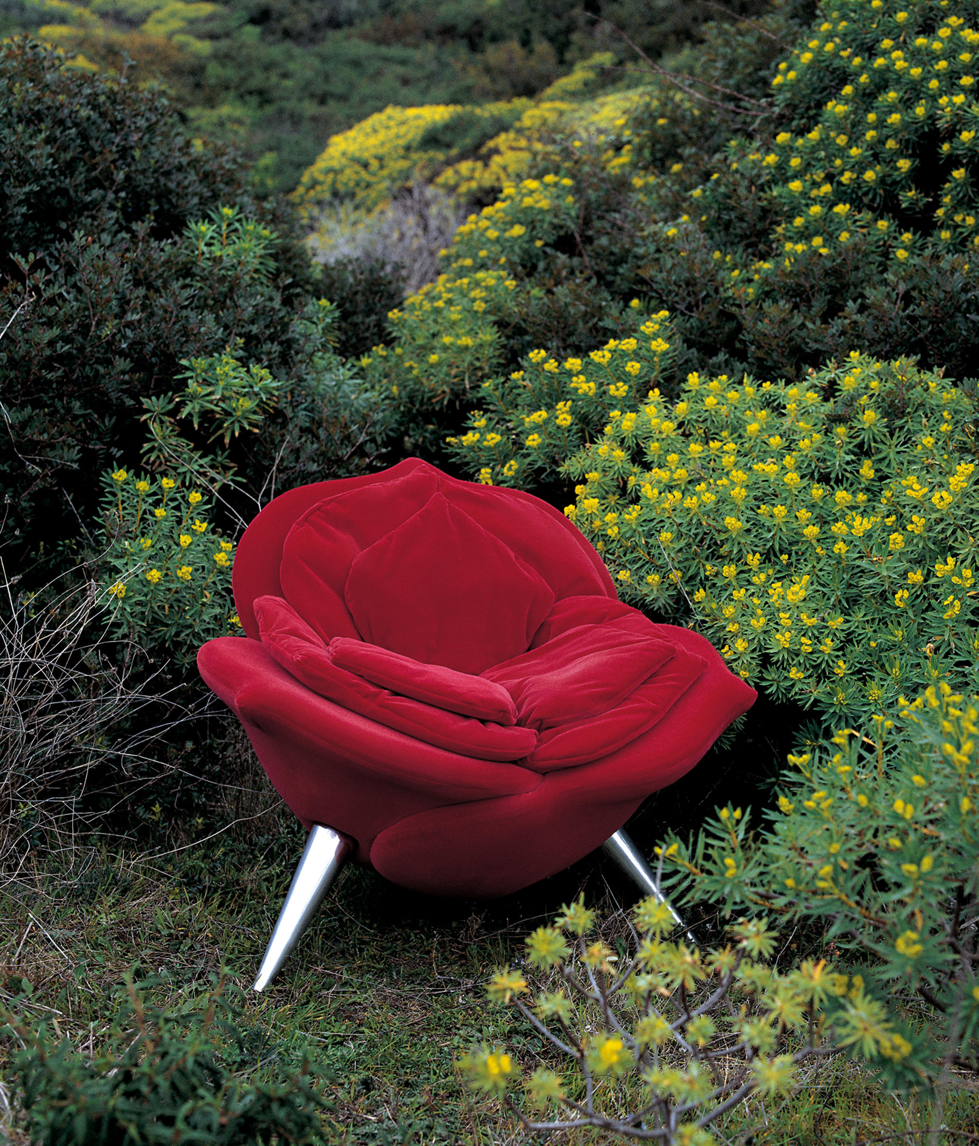 Rose Chair Armchairs From Edra Architonic