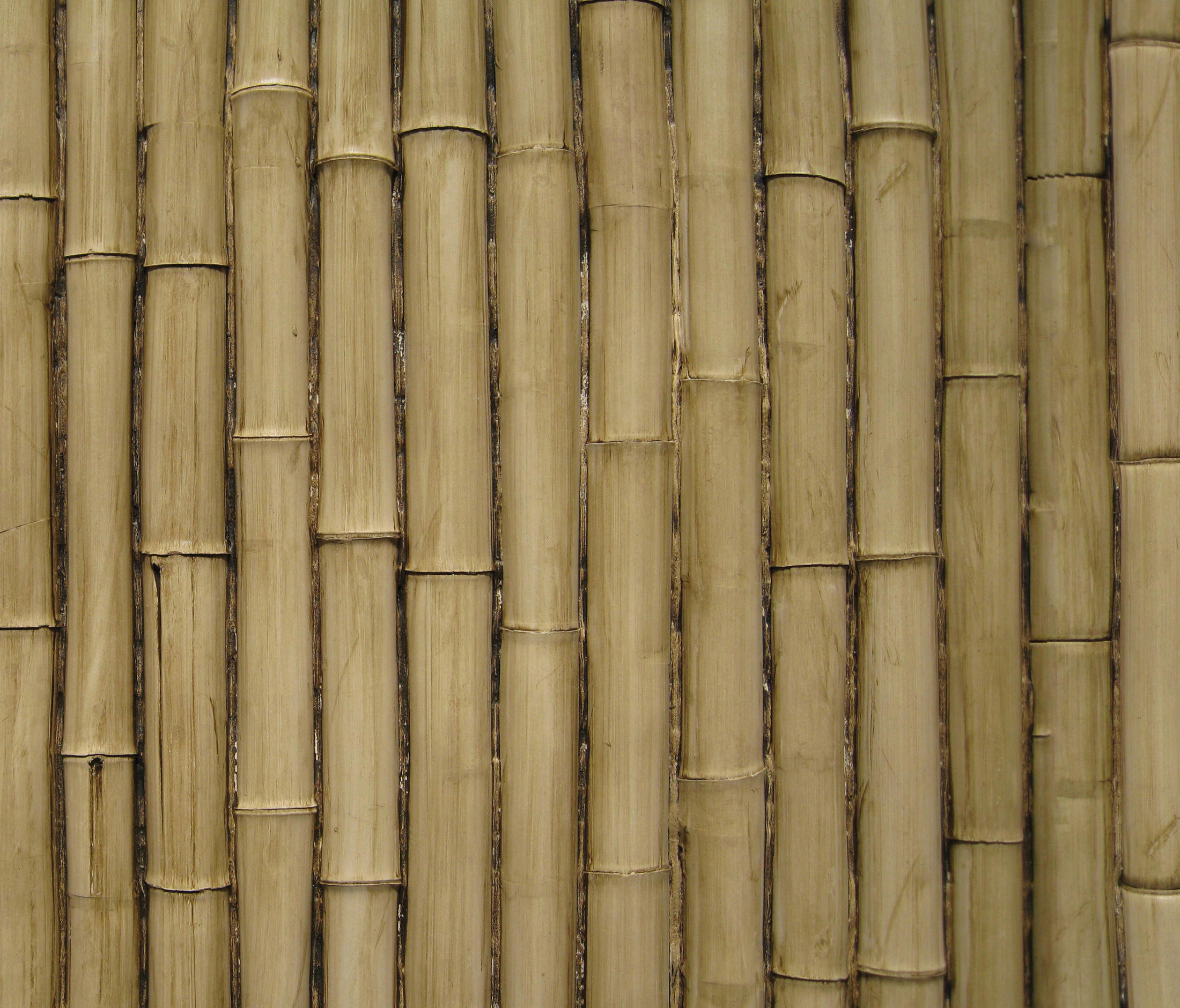 Бамбуковые стены купить. Бамбуковые панели. Бамбук панель. Стеновые панели бамбук. Стеновые панели из бамбука.