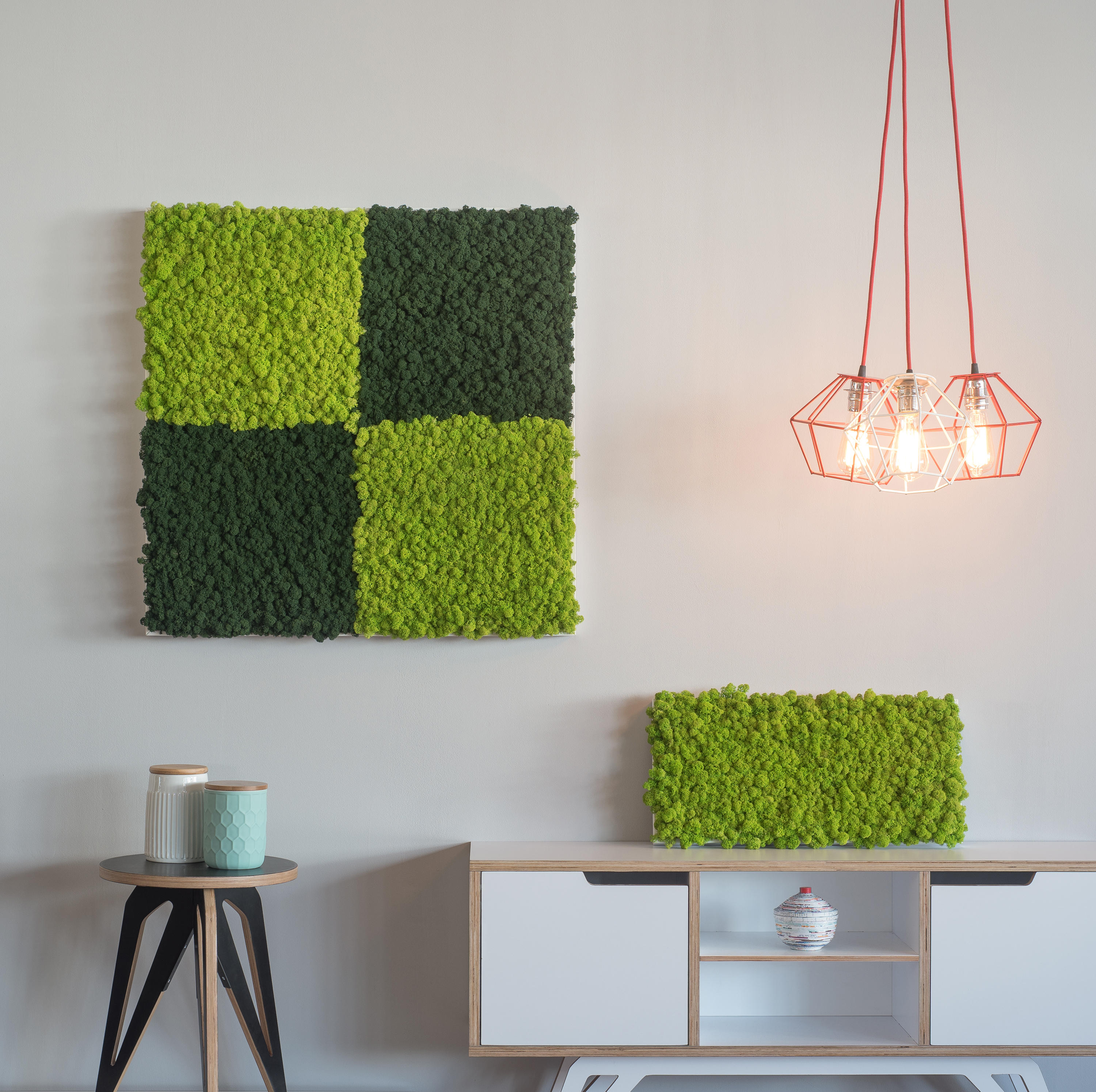 Natural Texture Of Reindeer Moss Decorative Green Moss Plant On The Wall  Background With Copy Space Picture From Organic Material Office Style  Interior Design Elements Stock Photo - Download Image Now - iStock
