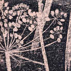 Cow Parsley 66-7048 wallpaper | Wandbeläge / Tapeten | Cole and Son