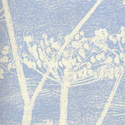 Cow Parsley 66-7050 wallpaper | Wandbeläge / Tapeten | Cole and Son