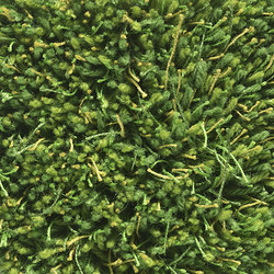 Moss | Green 11 | Rugs | Kasthall