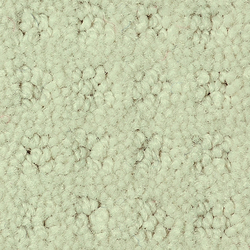 Squadra 1009 Pergament | Wall-to-wall carpets | OBJECT CARPET