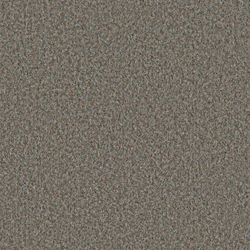 Scor 0557 Ashes | Colour grey | OBJECT CARPET