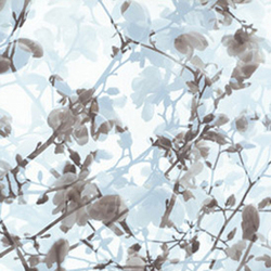 Colette [Collection 4] | Wall coverings / wallpapers | Extratapete