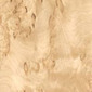 Karelian Birch Maser wood veneer