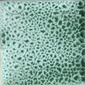 Seaspray glazed tile 10x10 cm | Colour green | Royce Wood