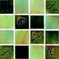 Moss Mix glazed tiles 10x10 cm