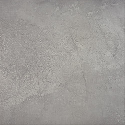 Gobi gris |  | Azulindus y Marti