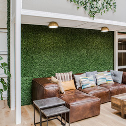 Evergreen Premium Moos | Living / Green walls | Freund