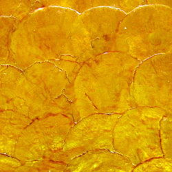 Shell Tile Panel No.26 | Planchas de nácar | B-Matrix Group
