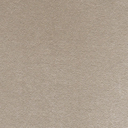 Cotton Velvet 001 Sel | Tejidos tapicerías | Maharam