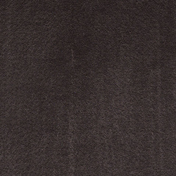 Cotton Velvet 003 Arabian | Tissus d'ameublement | Maharam