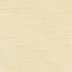 Silk Canvas 002 Slight | Tissus d'ameublement | Maharam