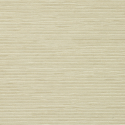 Switch 003 Husk | Wall coverings / wallpapers | Maharam