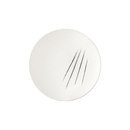 Fragile ! plate lacerated | Dinnerware | La Corbeille