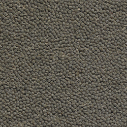 Lux 3000-40024 | Rugs | Carpet Concept