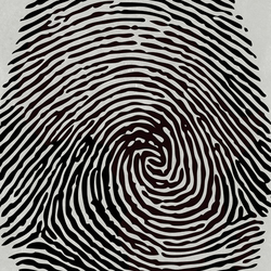 Real Identity | Pattern lines / stripes | Wall&decò