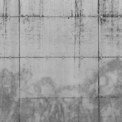 Concrete wall 12 | Wall art / Murals | CONCRETE WALL