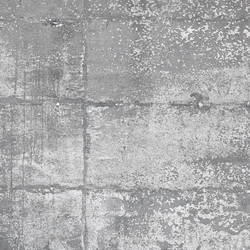 Concrete wall 20 | Wall art / Murals | CONCRETE WALL