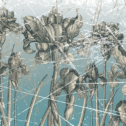 Herbarium | Pattern plants / flowers | Wall&decò
