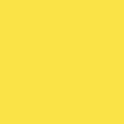 Parapan® 5510 Mais | Colour yellow | Hasenkopf