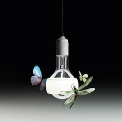 Johnny B. Butterfly | Suspended lights | Ingo Maurer