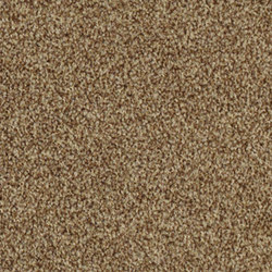 Alfombras Encuentre Una Gran Oferta En L 237 Nea Architonic