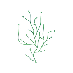 Algue | Divisorio pensile | Vitra