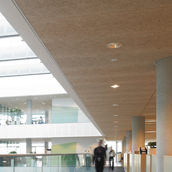 Troldtekt | Applications | Verwaltungssitz des Dänischer Rundfunks | Acoustic ceiling systems | Troldtekt
