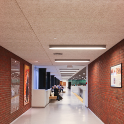 Troldtekt | Applications | KKG School Kristiansand | Acoustic ceiling systems | Troldtekt