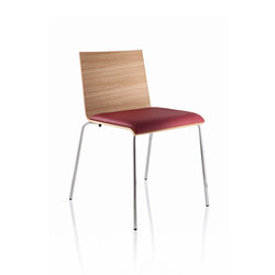Casablanca Sedia | Chairs | ALMA Design