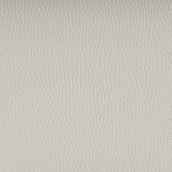 BELUGA OFF WHITE | Upholstery fabrics | SPRADLING