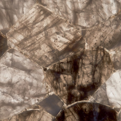 Prexury Smokey Quarz | Mineral composite panels | Cosentino