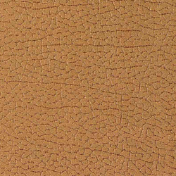 Vinci Cabra 051 | Upholstery fabrics | Alonso Mercader