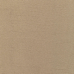 Vinci Cabra 071 | Upholstery fabrics | Alonso Mercader