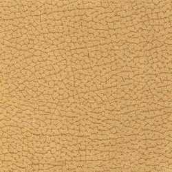 Vinci Cabra 110 | Upholstery fabrics | Alonso Mercader