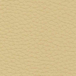 Evolve Zafir 05 | Upholstery fabrics | Alonso Mercader