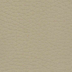 Evolve Zafir 07 | Upholstery fabrics | Alonso Mercader