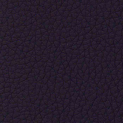 Evolve Zafir 27 | Upholstery fabrics | Alonso Mercader