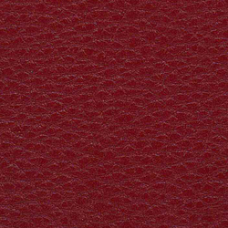 Evolve Zafir 25 | Upholstery fabrics | Alonso Mercader