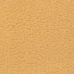 Evolve Zafir 11 | Effect leather | Alonso Mercader