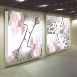 Orchid Meets Reptile | Sound absorbing objects | tela-design