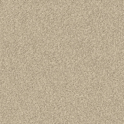 Silky Seal 1201 Marzipan | Sound absorbing flooring systems | OBJECT CARPET