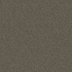 Silky Seal 1215 Greige | Sound absorbing flooring systems | OBJECT CARPET