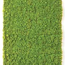 Moss Wall Living Green Walls From Verde Profilo Architonic Moss Wall Living Green Walls Verde Profilo