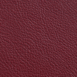 Elmorustical 95024 | Natural leather | Elmo