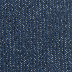 Concept 506 - 81 | Velour | Carpet Concept