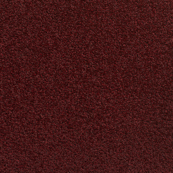 Concept 505 - 289 | Velour | Carpet Concept